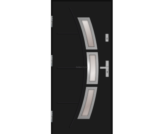 Siltas un kvalitatīvas ārdurvis mājai. Durvis melnā krāsā ar moderniem dekoratīviem elementiem.