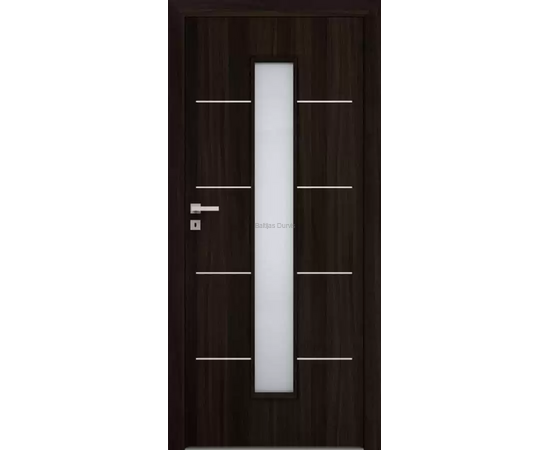 Durvis ar tumšu apdari un garu vertikālu stikla ielaidumu centrā, kas piešķir telpai gaišumu.